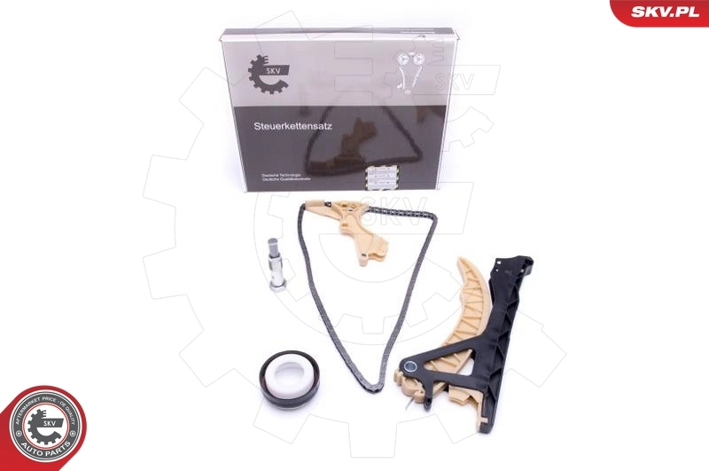 Timing Chain Kit
